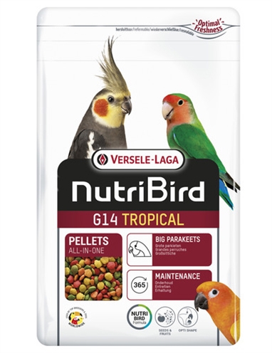 [VERS_422115] G14 Tropical - 1kg