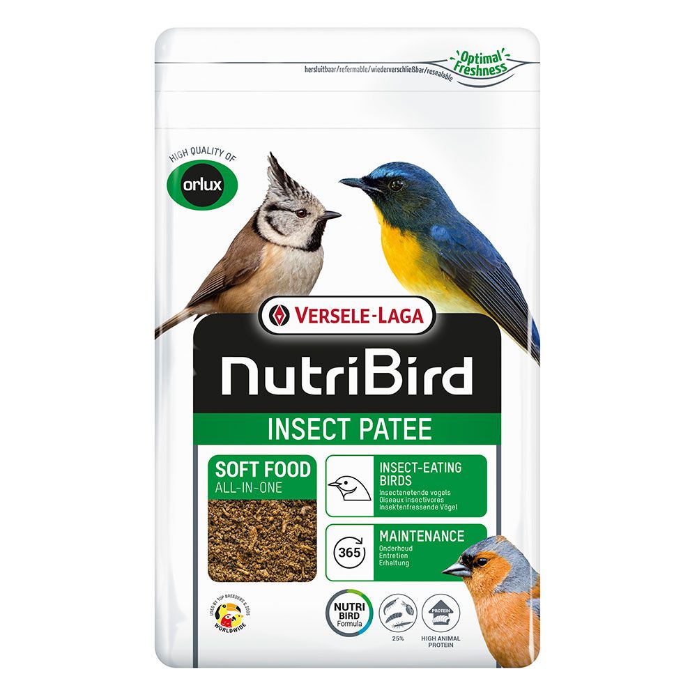 Insect Patee - 1kg