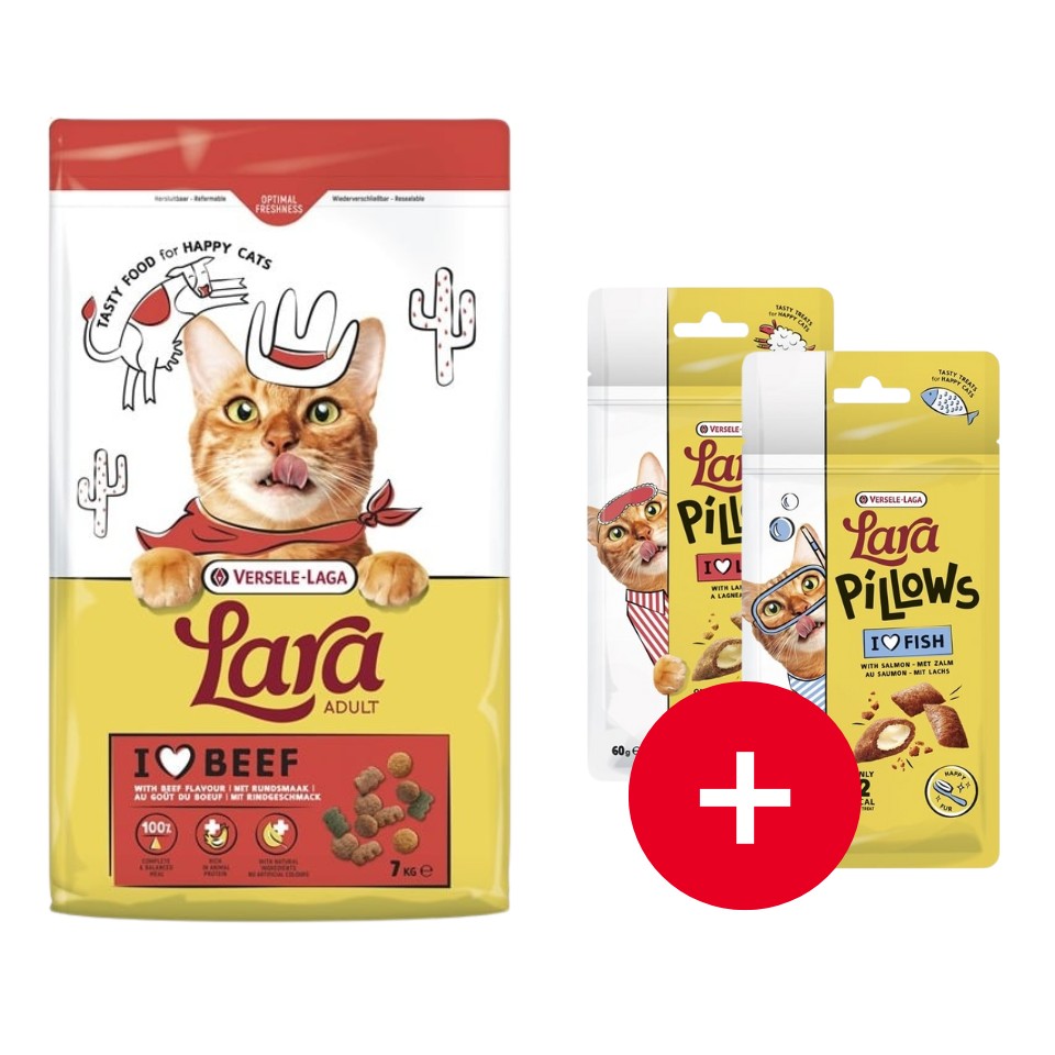 Adult with Beef Flavour - 7kg