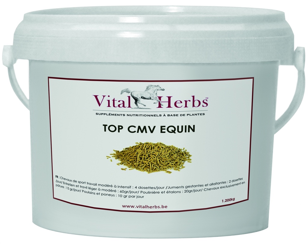 [VIHE_VH48TCM] Top CMV 1.200