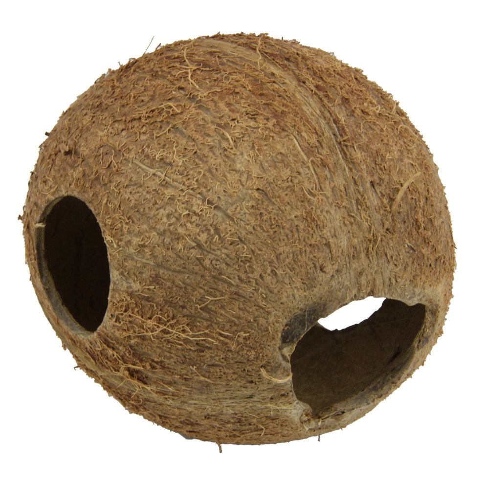 JBL Cocos Cava 1/1M