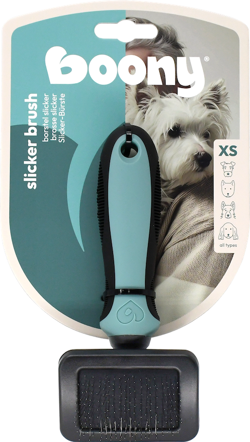 CHIEN SLICKER EXTRA PETIT
