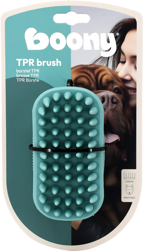 CHIEN À BROSSE TPR OVALE GROSSIER