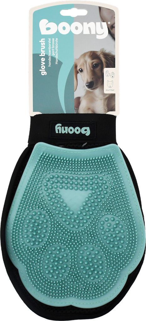 BROSSE À GANTS POUR CHIEN TPR